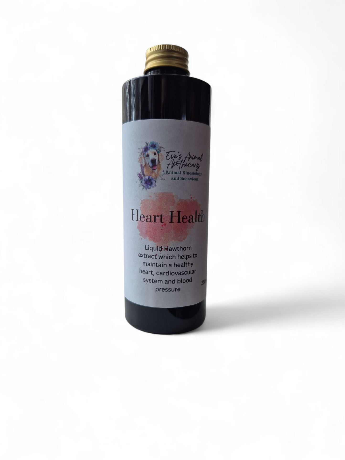 Canine Heart Health