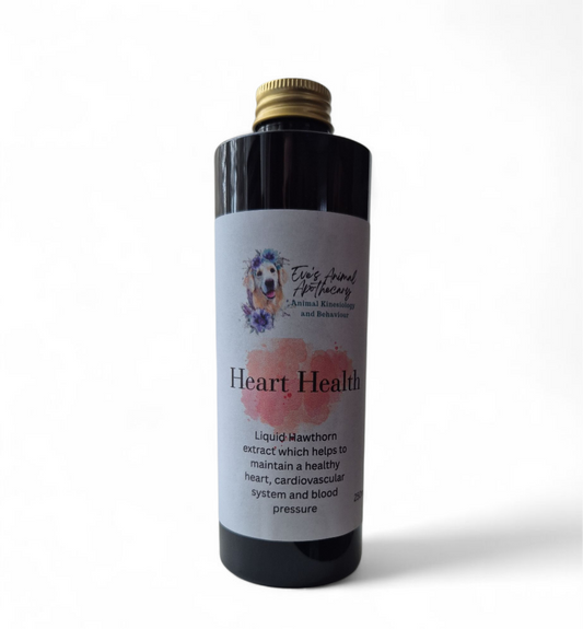 Canine Heart Health